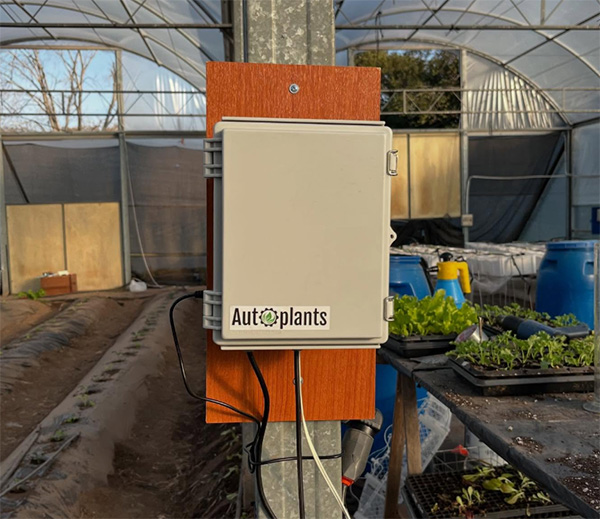 Fonte foto: Profilo Instagram Autoplants